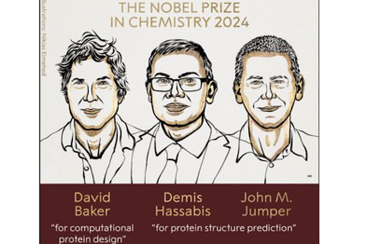 Google DeepMind scientists among 2024 Chemistry Nobel winners