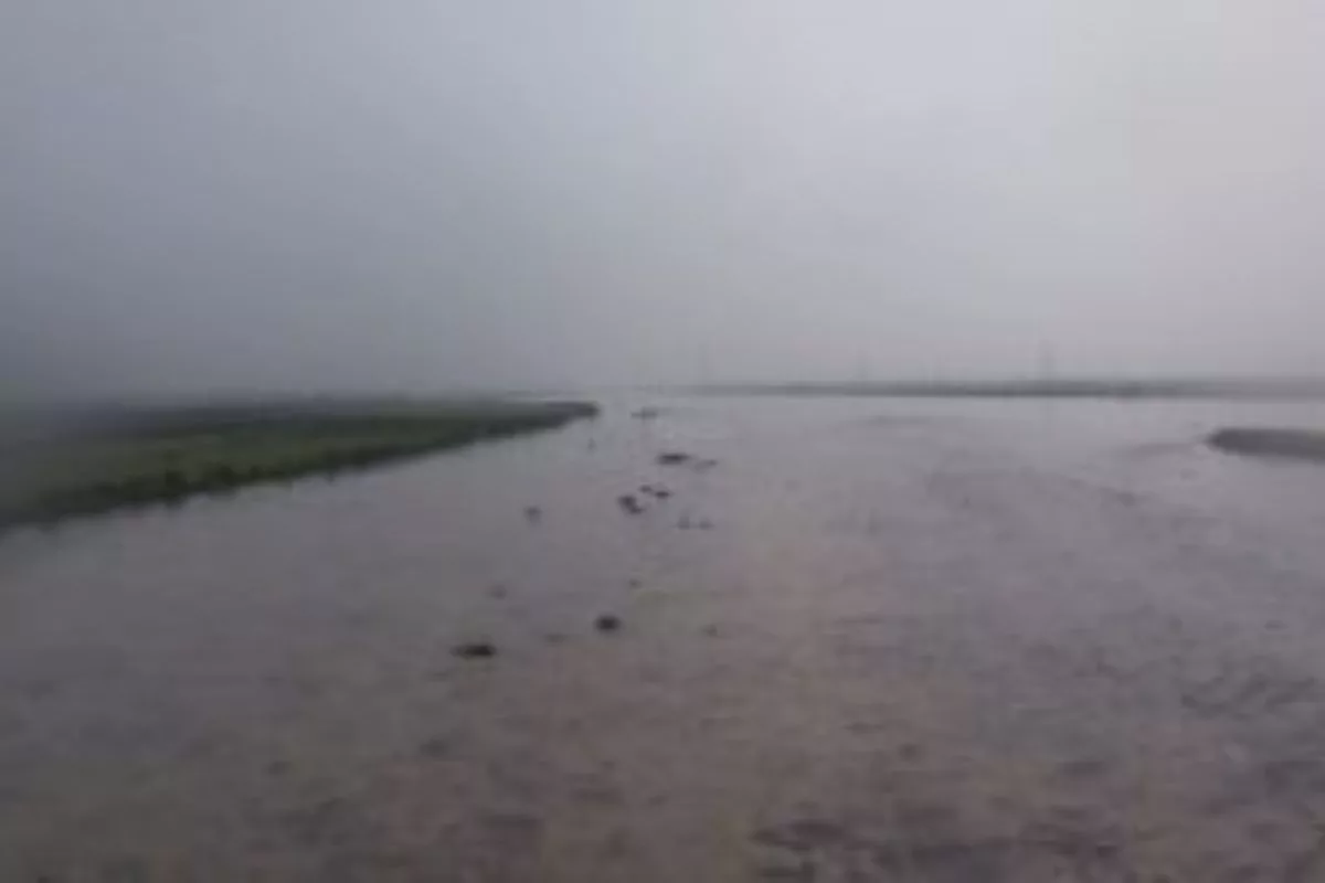 Expert attributes untreated toxic waste to froth floating on the surface of Yamuna in Delhi