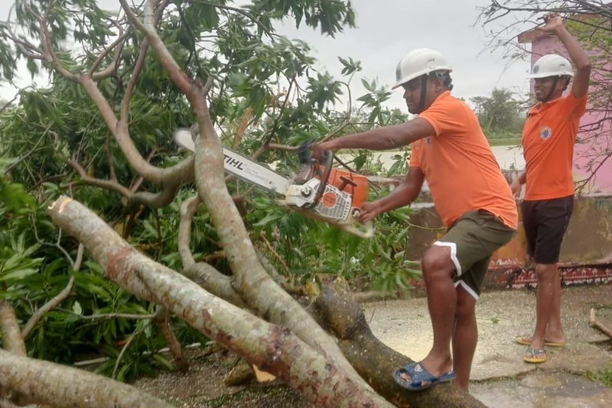 Odisha villagers heave a sigh of relief as Cyclone Dana retreats with minimal damage