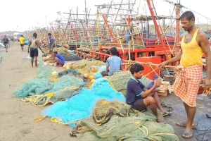 Marine fishing prohibition enforced along Odisha coast to ensure safety of Olive turtles