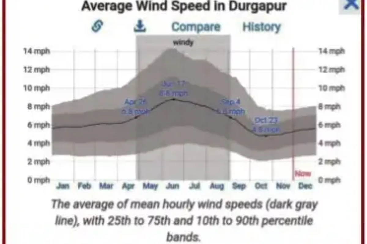 Bio-seals not going to be very effective in curbing air pollution in Durgapur: Scientists