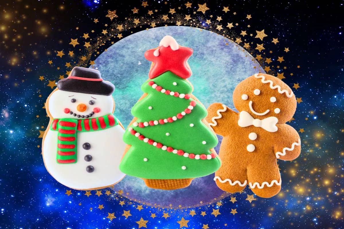 Discover your perfect Christmas treat based on your Zodiac sign!