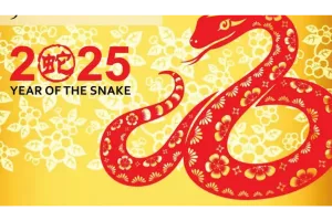 Year of snakes, ladders