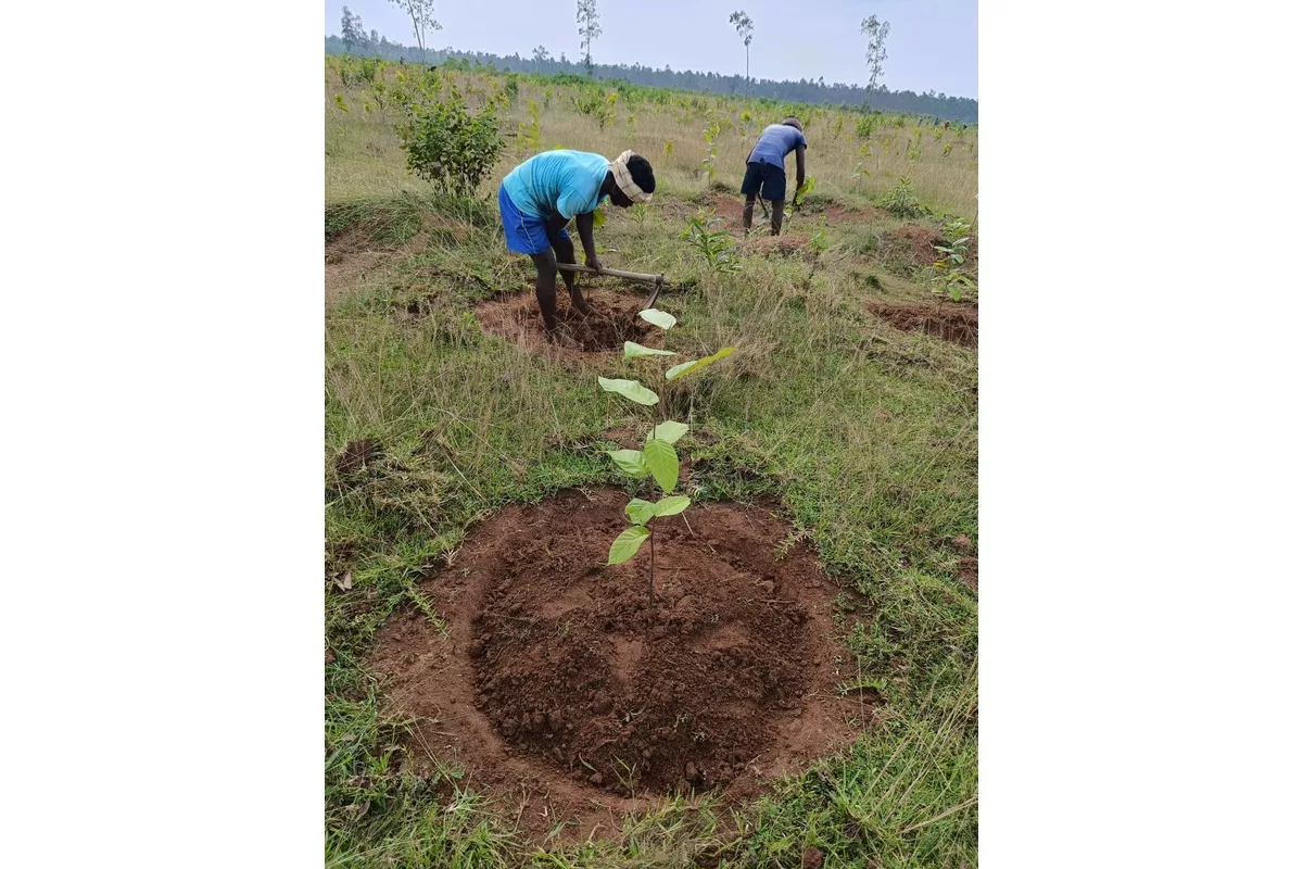 An effort to preserve forests, wildlife