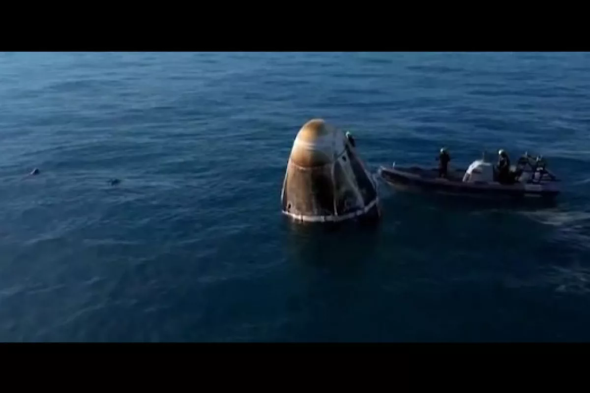 Unplanned welcome: Dolphins greet astronauts as they return home after extended space mission