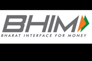 Incentive scheme for low-value BHIM-UPI transactions boosted digital payments: Govt