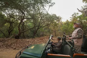 PM Modi goes on Lion Safari in Gujarat on World Wildlife Day