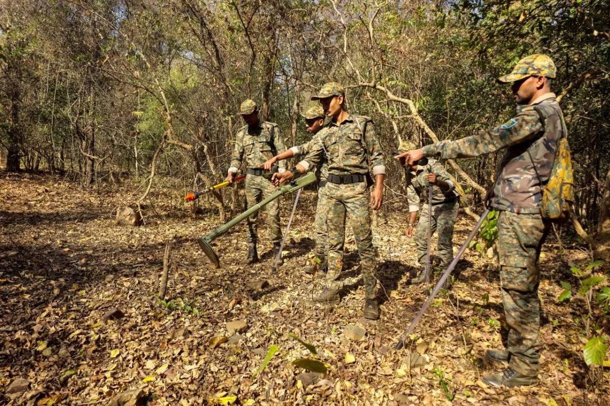 Odisha villagers join hands with forest dept to protect wildlife from electrocution