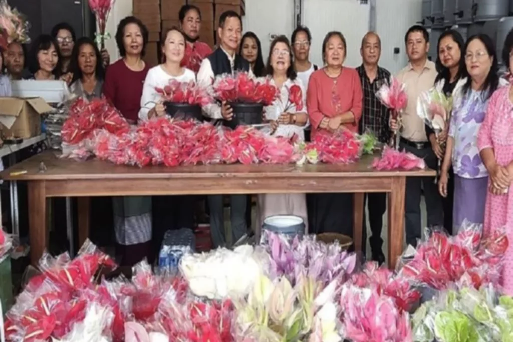 Anthurium Flowers, Mizoram, Debut, Singapore
