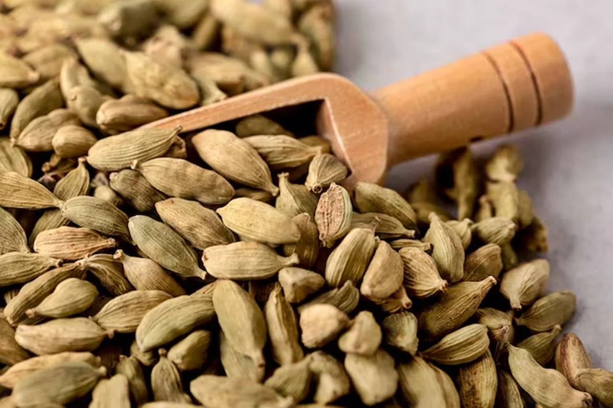 Cardamom: A fragrant spice to elevate your everyday cooking