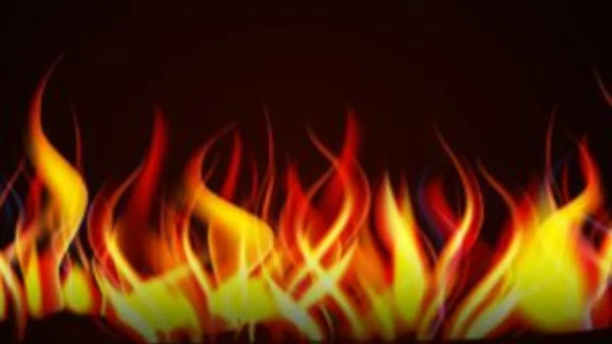 Fire in garage, 12 cars gutted in SW Delhi