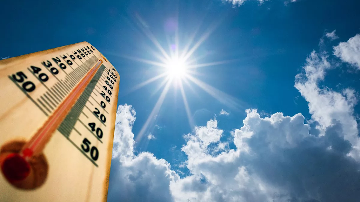 Scorching Future
