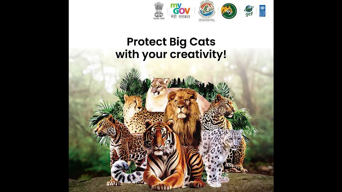 India to host Int’l Big Cat Alliance Headquarters