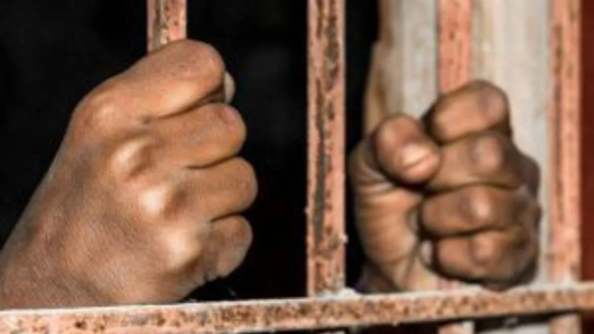 Robbed shop of Rs 8 lakh to gift smartphone to wife, SW Delhi man lands in jail with accomplice